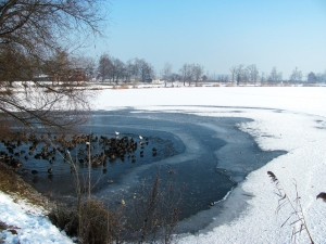 1328089_half-frozen_lake.jpg