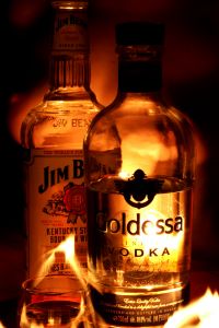 vodka-2-500156-m.jpg