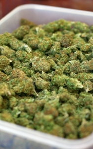 tray-of-marijuana-1437843-m