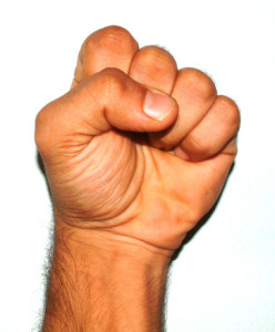 fist-1488296