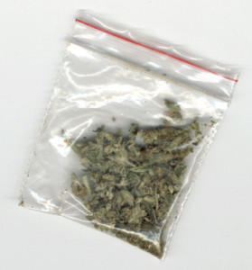 dutch-weed-1251539