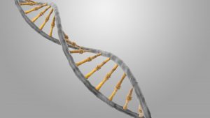 dna-helix-background-image-1-1632628-300x169