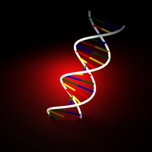 dna-1-1444488-300x300