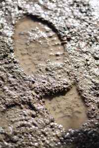 mud-shoe-print-1341848-200x300